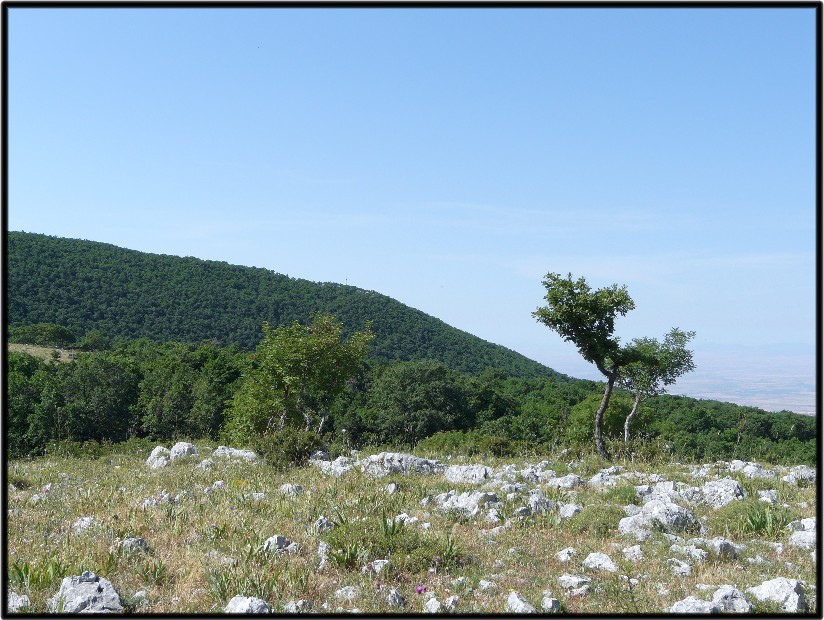 Il Gargano